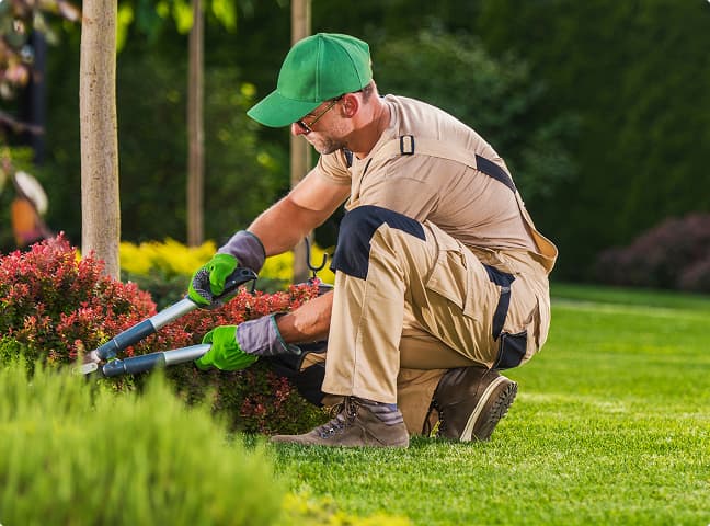 best online marketing agency for landscaping companies